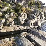 Seaside