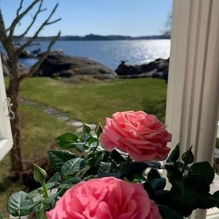 Seaside