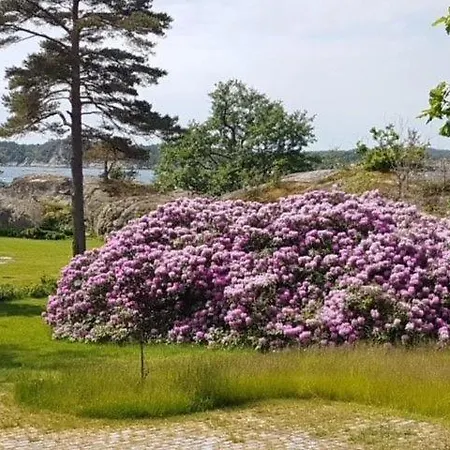 Seaside Sandefjord