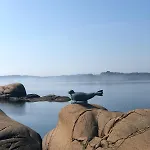 Seaside